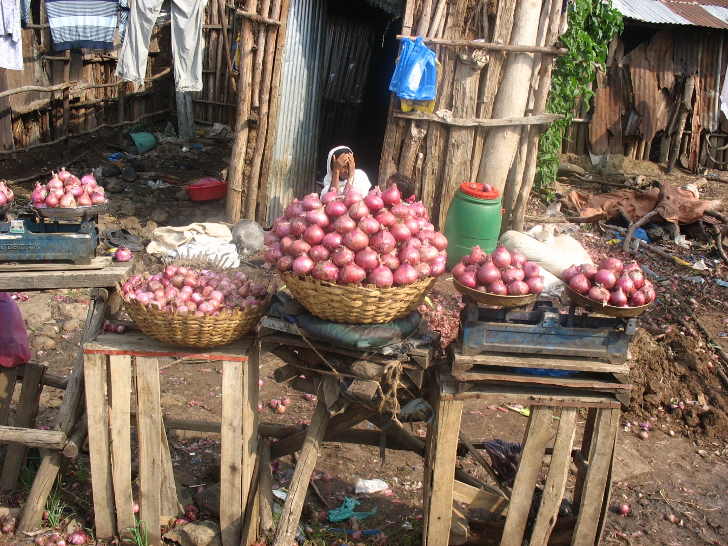 A group of onions in baskets

Description automatically generated