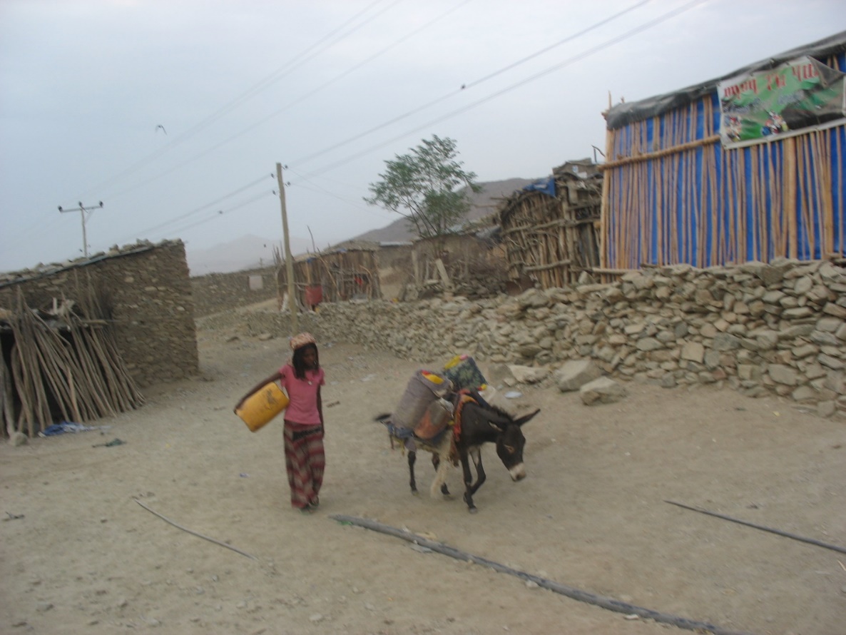 A person carrying a bucket of water on a donkey

Description automatically generated