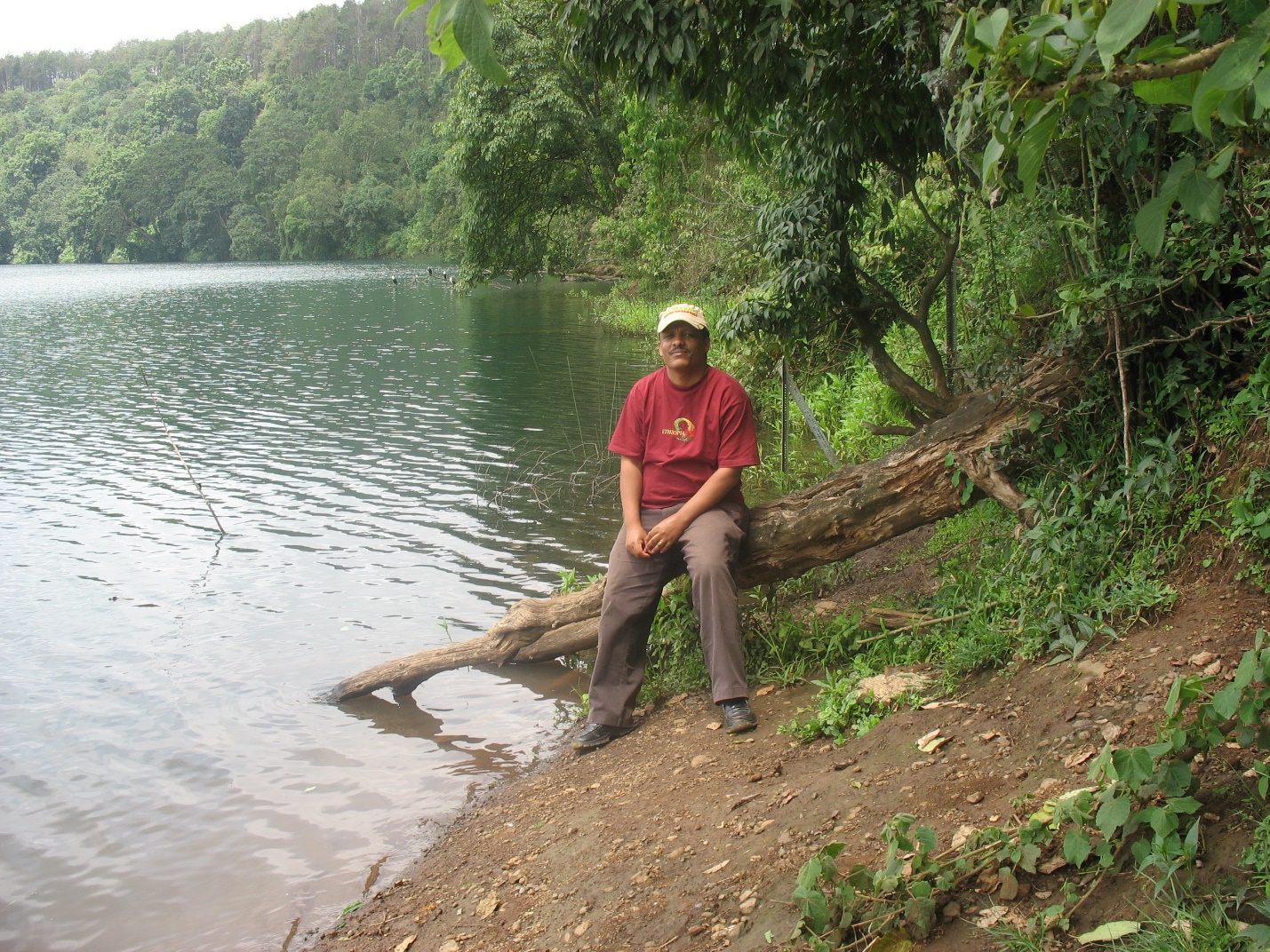 A person sitting on a log next to a lake

Description automatically generated